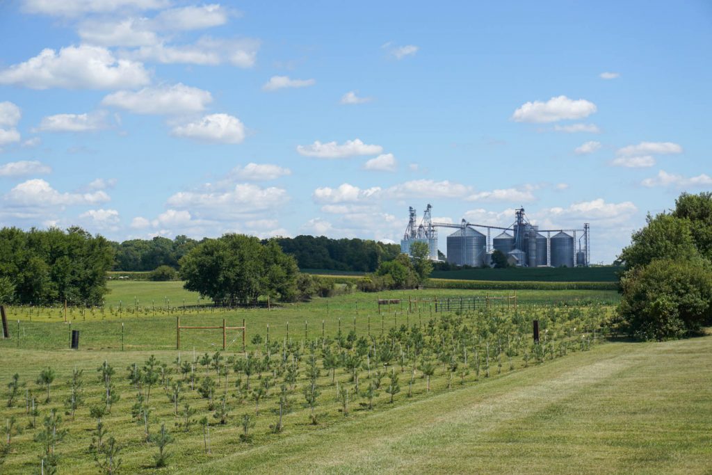 agricultural field